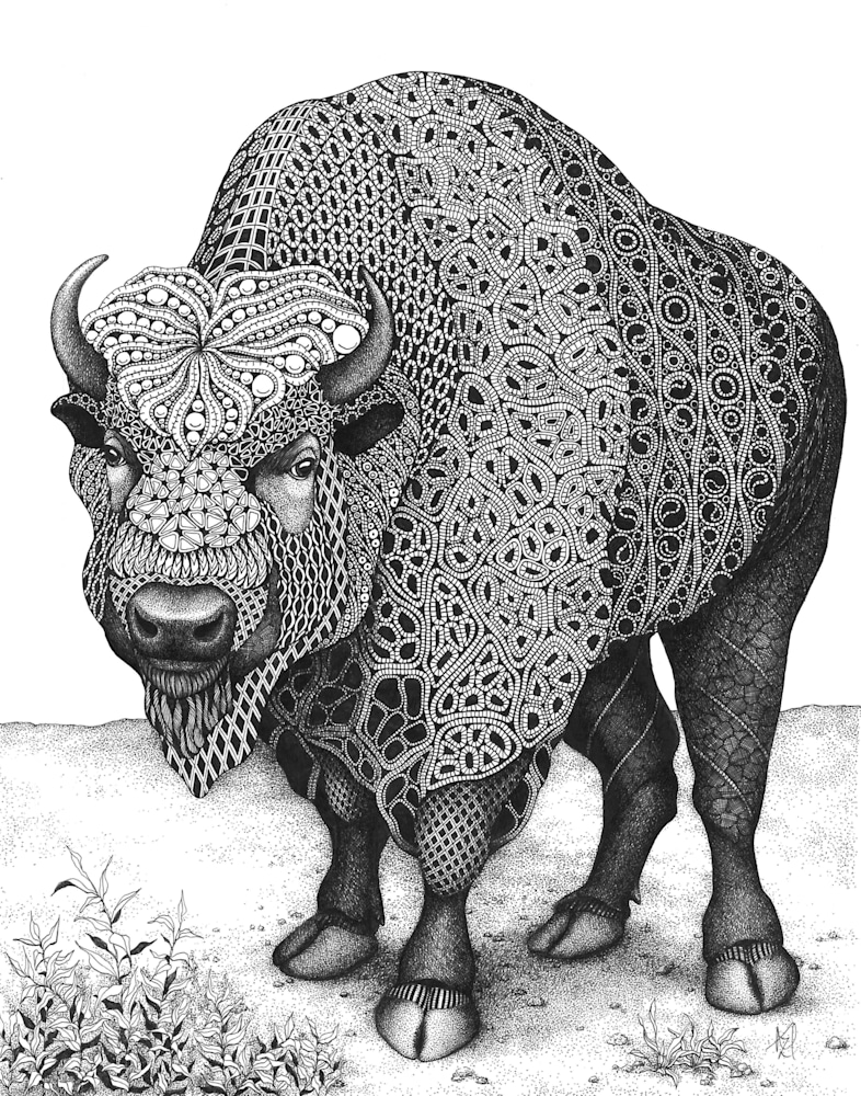 bison (Home on the Range)