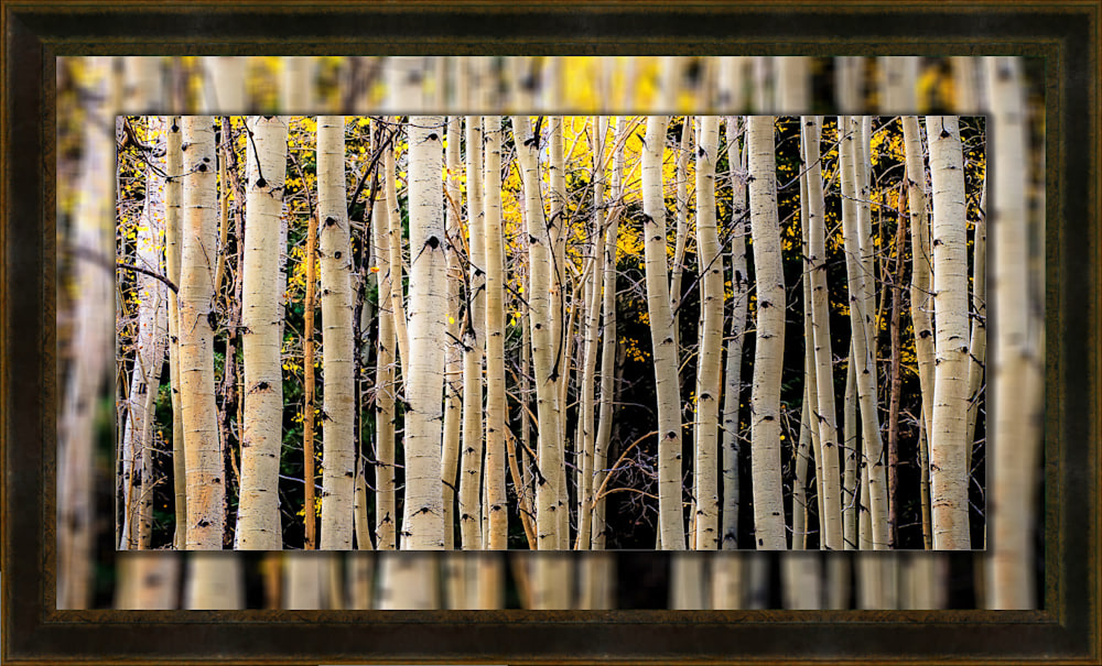 Aspen Trunks 20x40 to 26x46 Leather