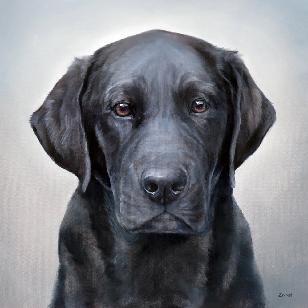 Black Lab Oil Painting Art By Zann Hemphill