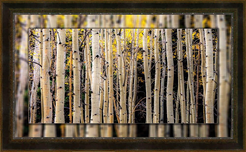 Aspen Trunks 20x40 to 26x46 Leather Rivets