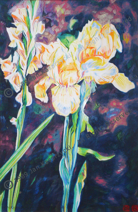 Yellow Iris & Gladiola wC