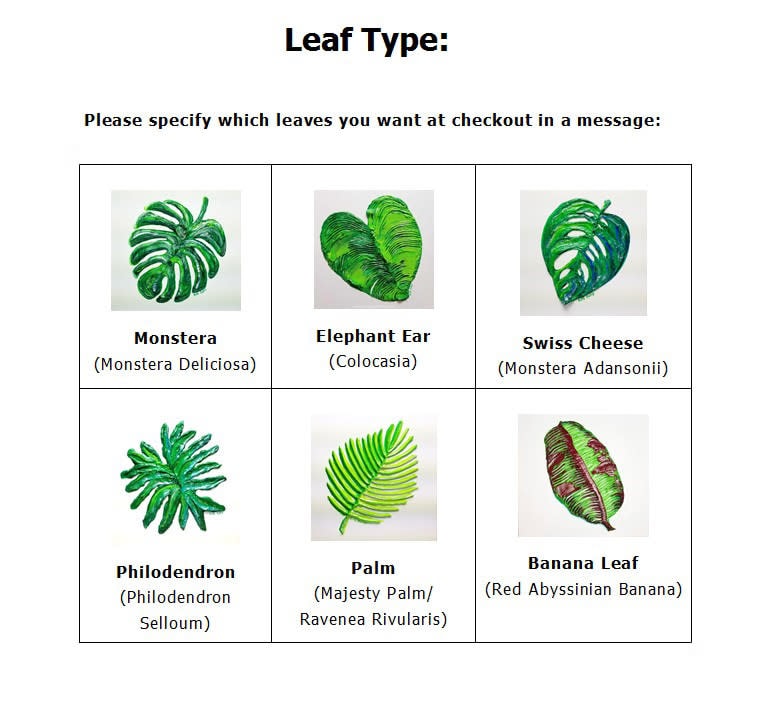 Names Of Tropical Leaves