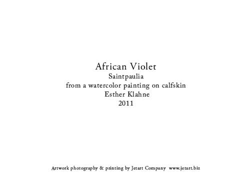 african violet notecard back