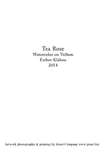 tea rose b card outside c back