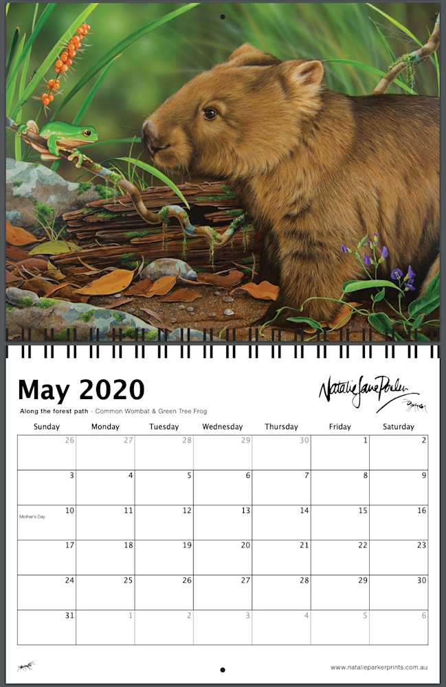 Screen Shot 2019 08 28 at 12