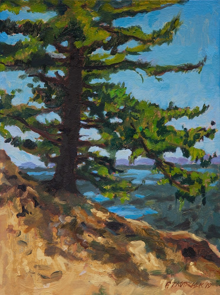 Island Fir From North Art Fountainhead Gallery