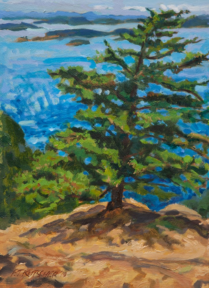 Island Fir From Atop Turtlehead Art Fountainhead Gallery