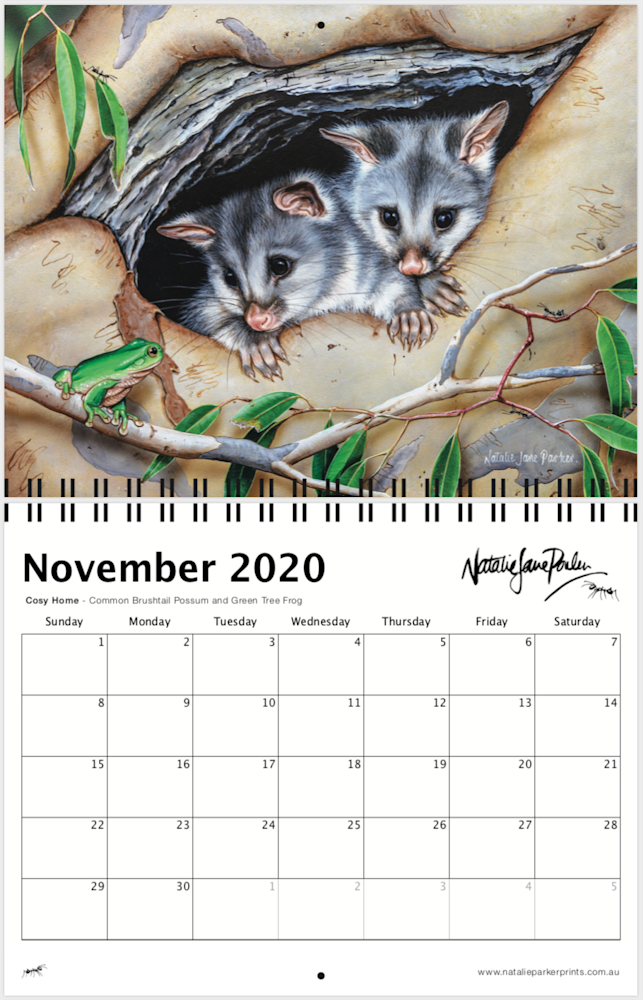 Screen Shot 2019 09 05 at 4