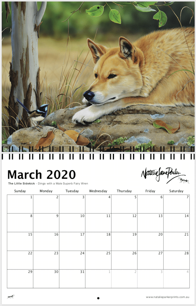 Screen Shot 2019 09 05 at 4