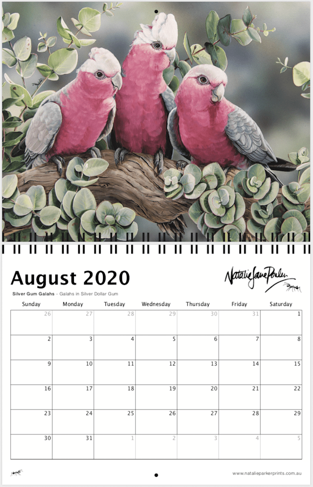 Screen Shot 2019 09 05 at 4