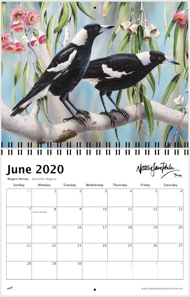 Screen Shot 2019 09 05 at 4