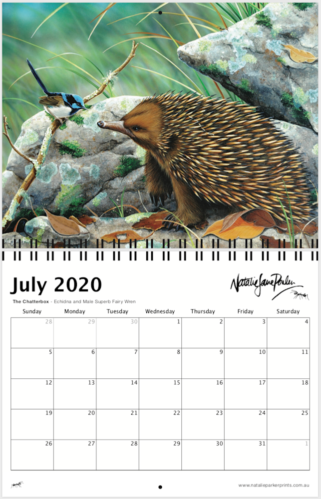 Screen Shot 2019 09 05 at 4