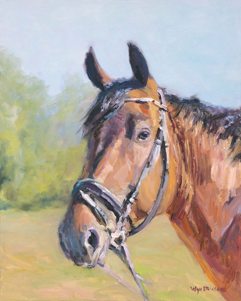 Equine Portrait 16x20
