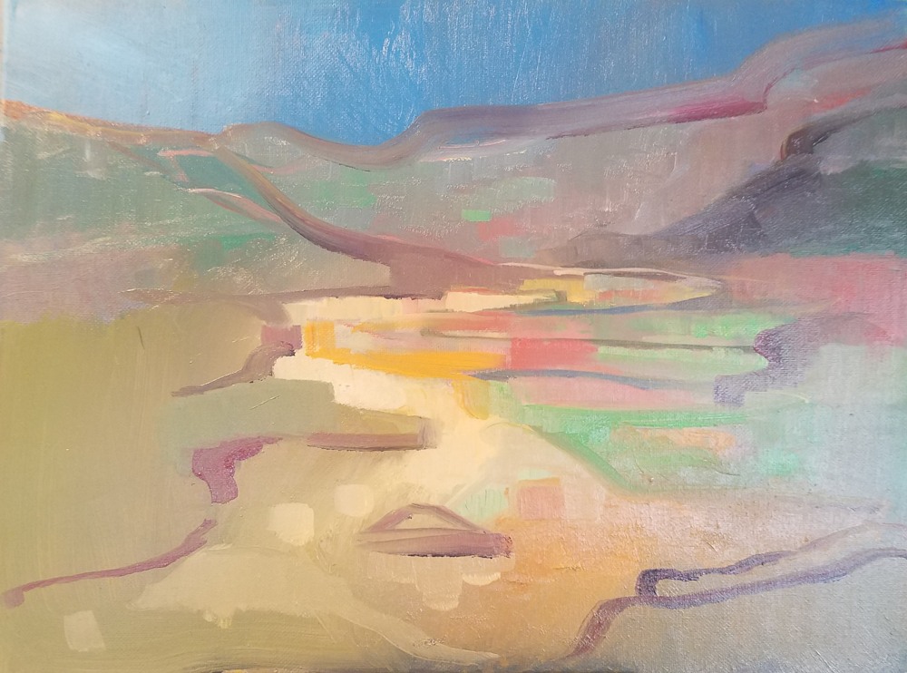Connery Boyd Landscape Finding Color in the Desert