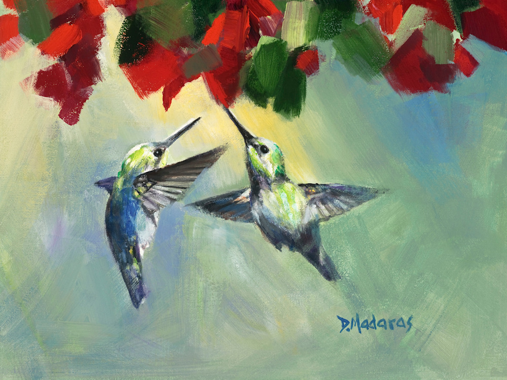 Two Hummingbirds Mini Canvas By Diana Madaras