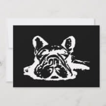 french bulldog modern black and white