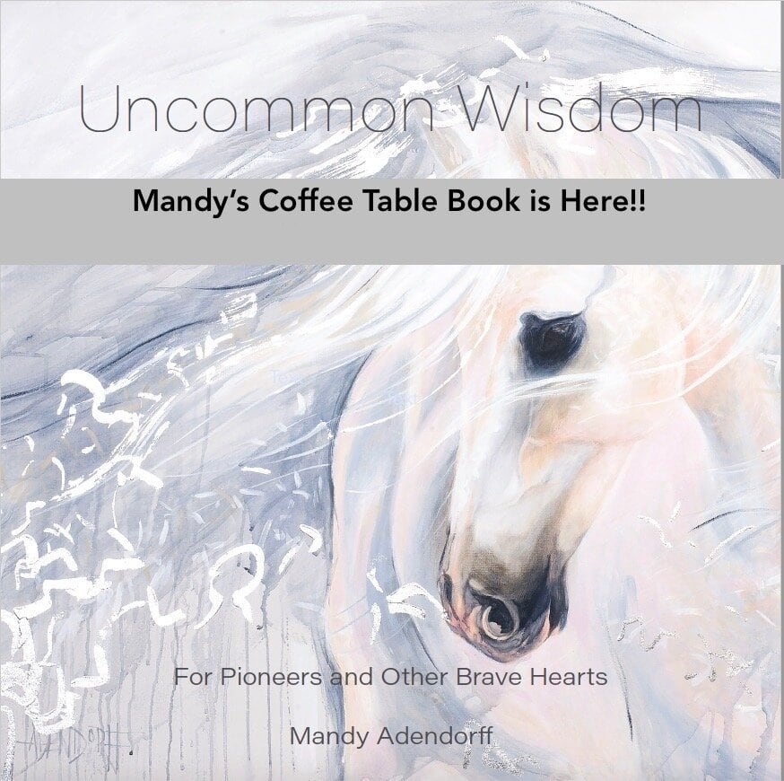 Mandy Adendorff Book