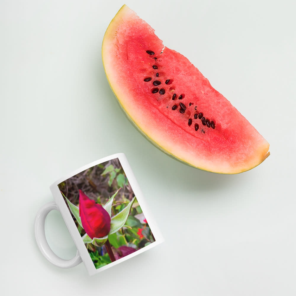IMG 2213 mockup Watermelon Environment 11oz
