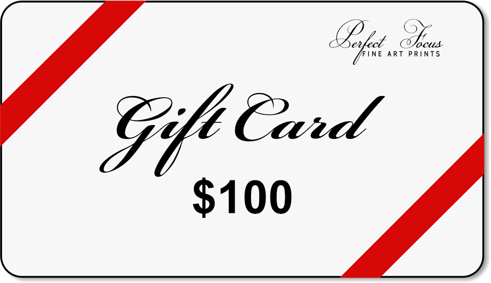 $100 Gift Card | Perfect Focus Photography