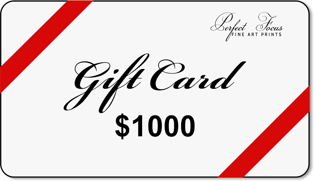 $1000 Gift Card | Perfect Focus Photography