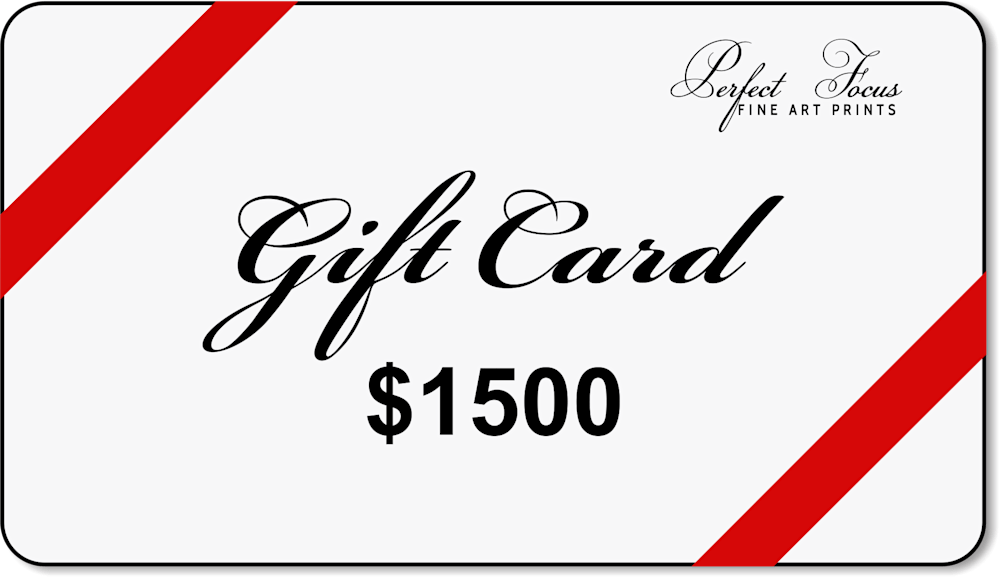 $1500 Gift Card | Perfect Focus Photography