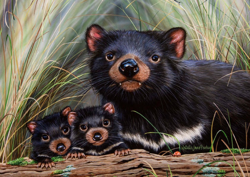 NJP 2021 Calendar A4 May image