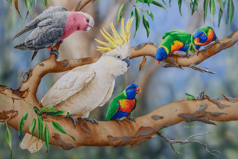 Colourful Crowd Natalie Jane Parker