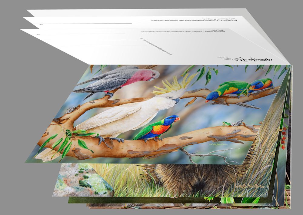 Postcard Book Mock up