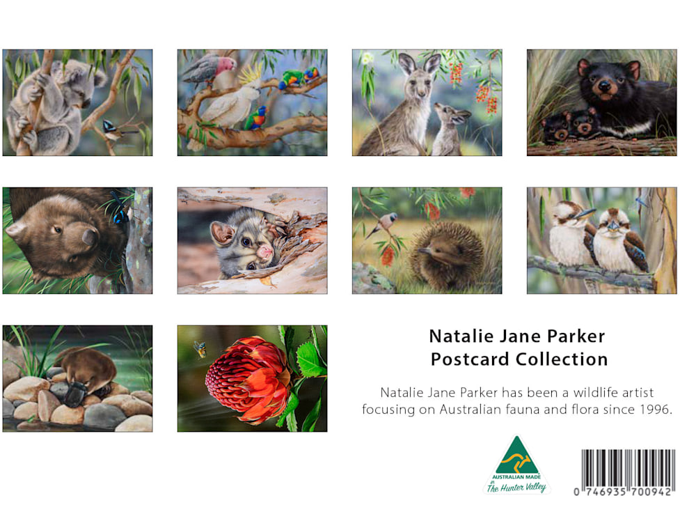 A6 Postcard Wrap Rear