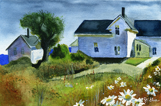 House with Daisies