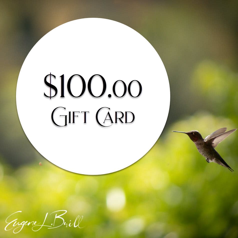 $100 Eugene Brill Gift Card