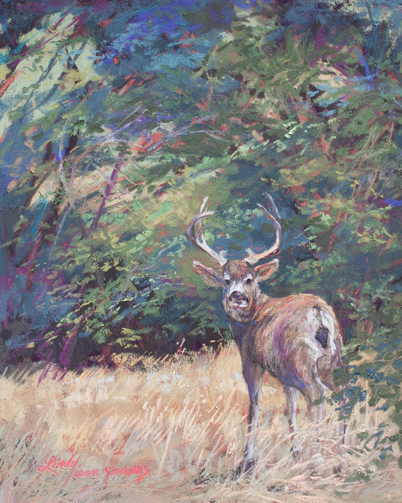 40H15 King of the Mountain 10x8 pastel Lindy C Severns