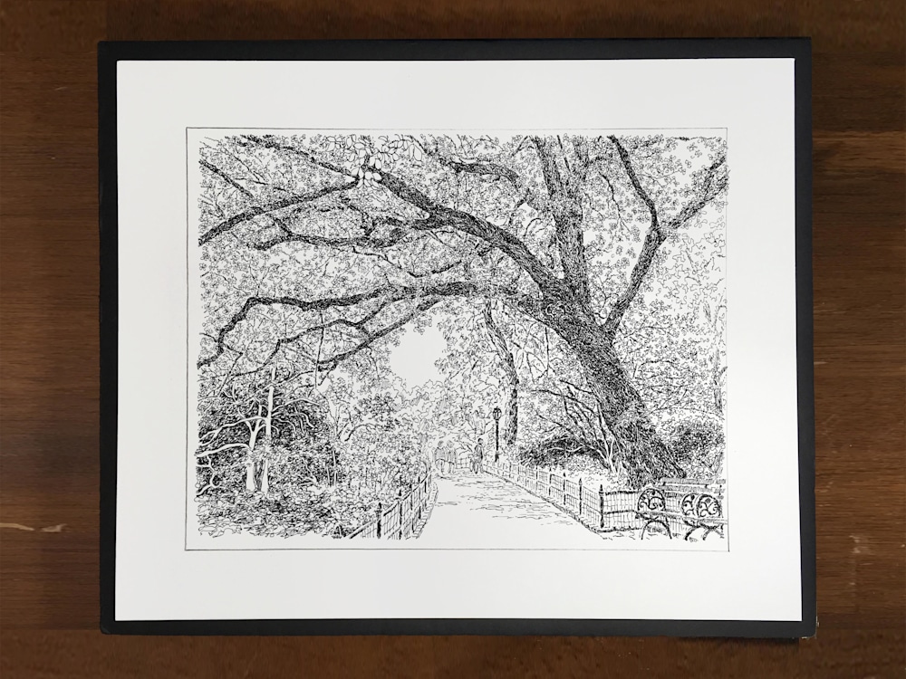 Tree Branch 4-Original Colored Pencil Drawing (8x10 mat included) — Jen's  Art Shop