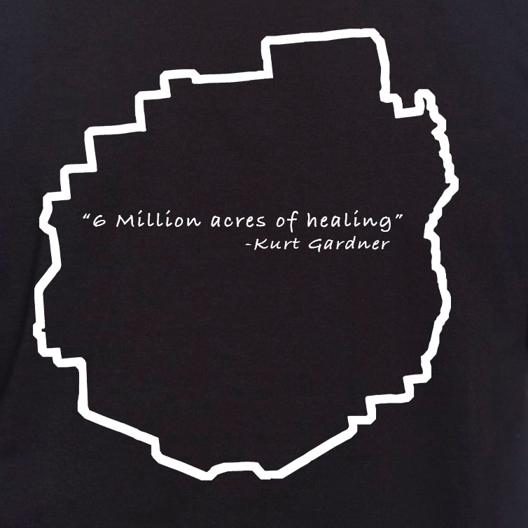 Black t shirt Healing1
