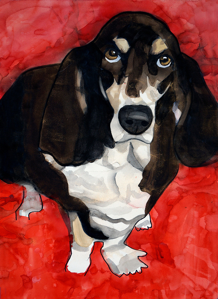 custom portrait dog
