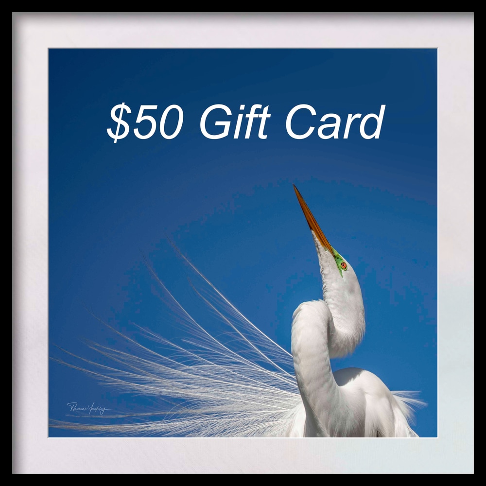 Gift card 50