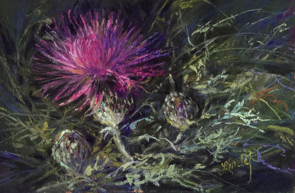 17G16 A Thistle in Time 4x6 pastel Lindy C Severns