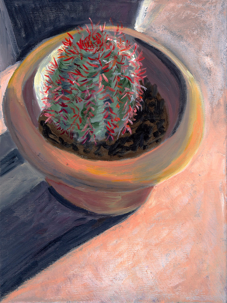 Potted Red thorn  (vertical)   12 x 9  (SOLD)