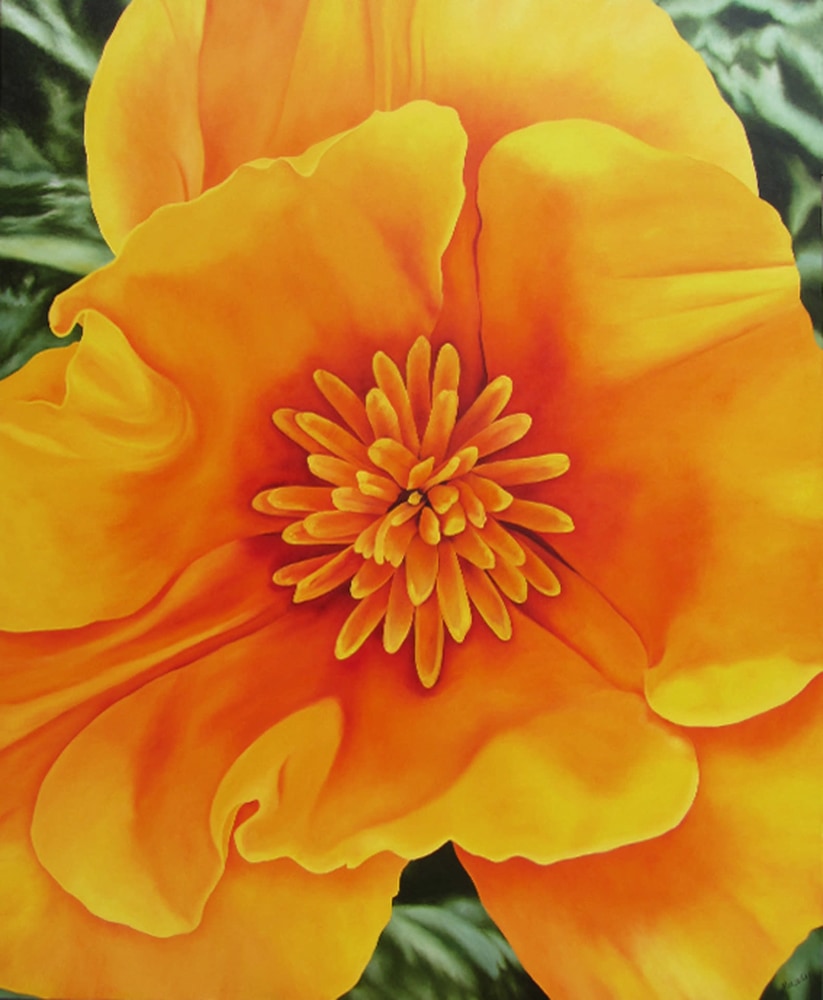 Happy California Poppy 66hx54w oil 72dpi 1920pxH