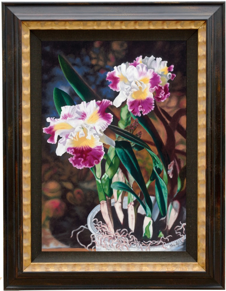 Potted Orchids framed