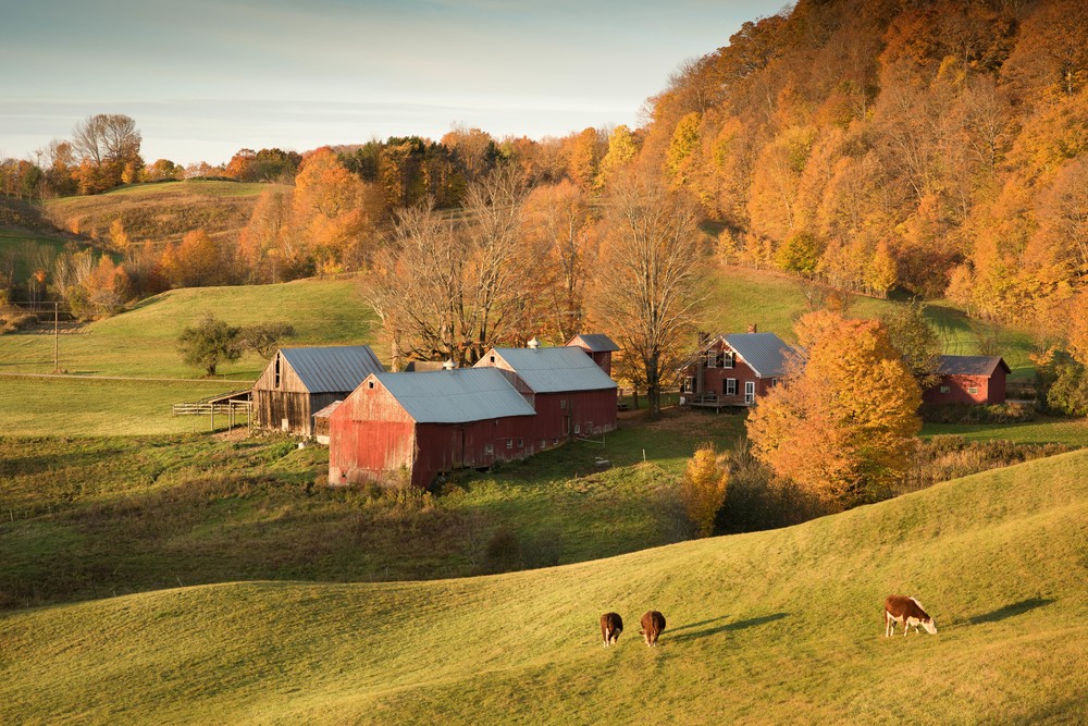 Jenne Farm 2017 Photography Art | Rob Skinnon Photography