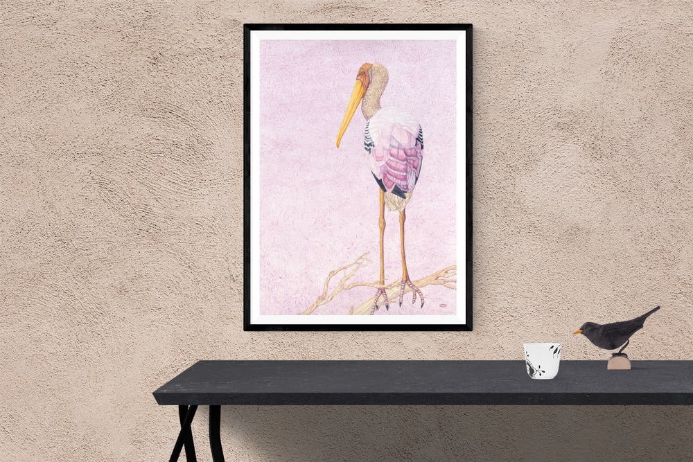painted stork2