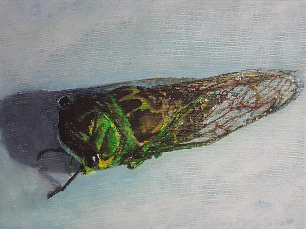 2017 08 13b, Cicada #2, Acrylic, 12x16x