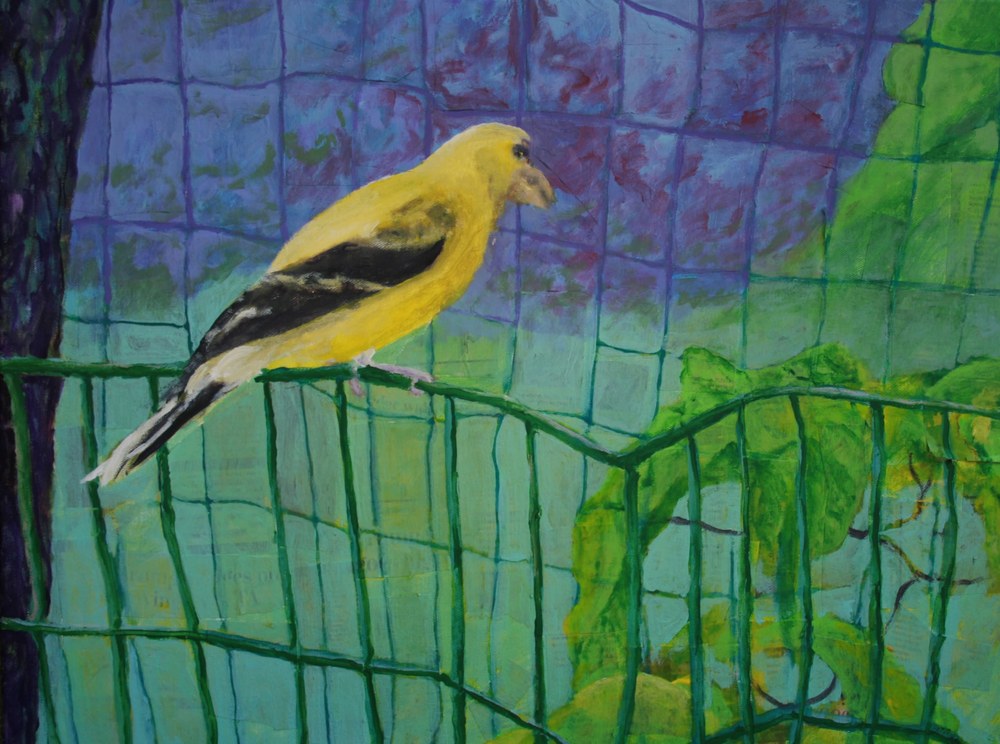 2017 4 29, Make the American Goldfinch Great, Again, Donald, 2017, Acrylic, 18x24
