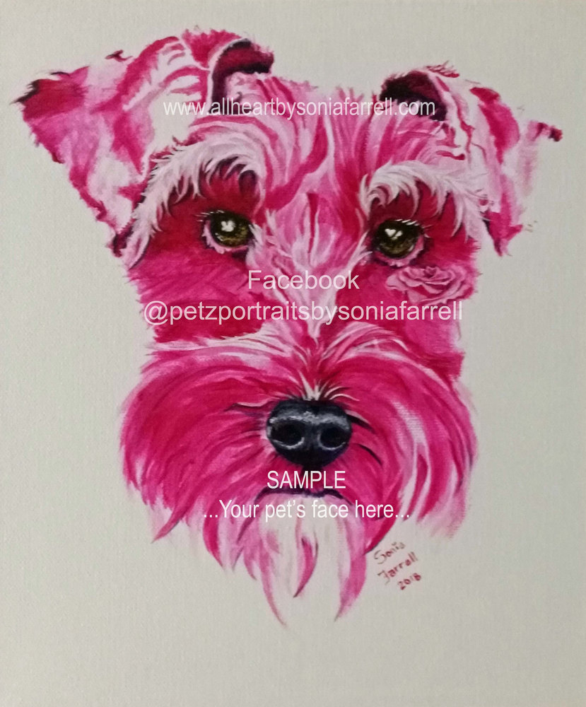 Pet Portrait of a Schnauzer dog being celebrated in magenta pink, featuring a pretty pink rose on her cheek
