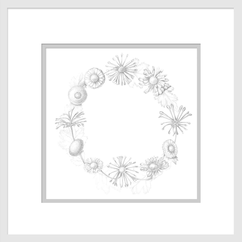 020501 circle of compositae 10x10 matted to16x16