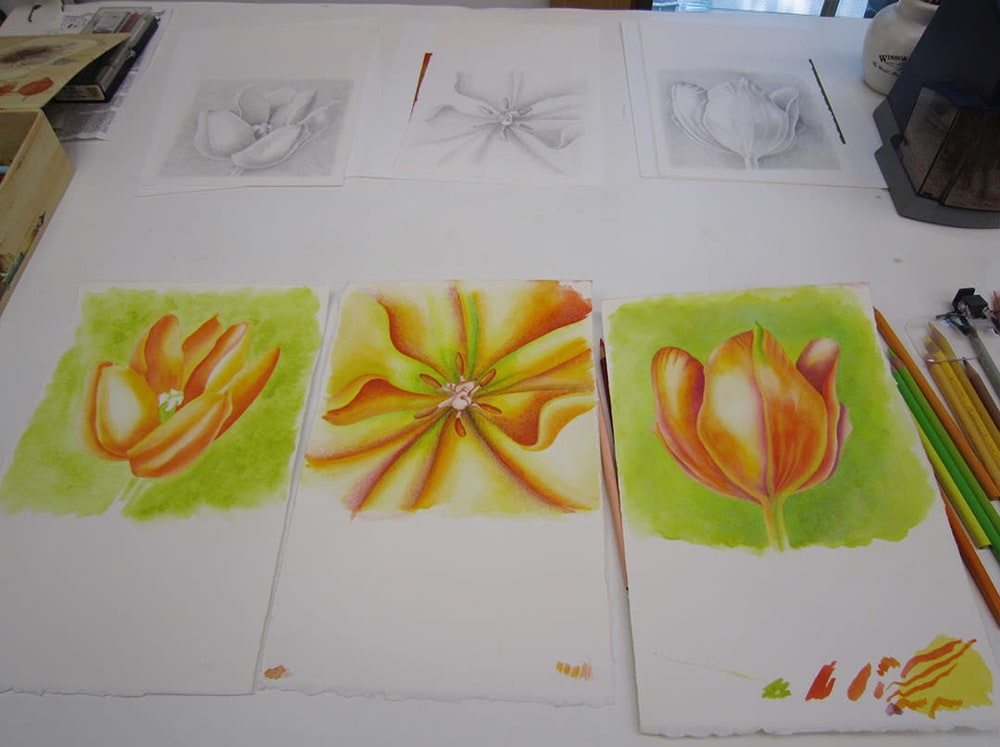Orange tulips WIP IMG 0731 15x72