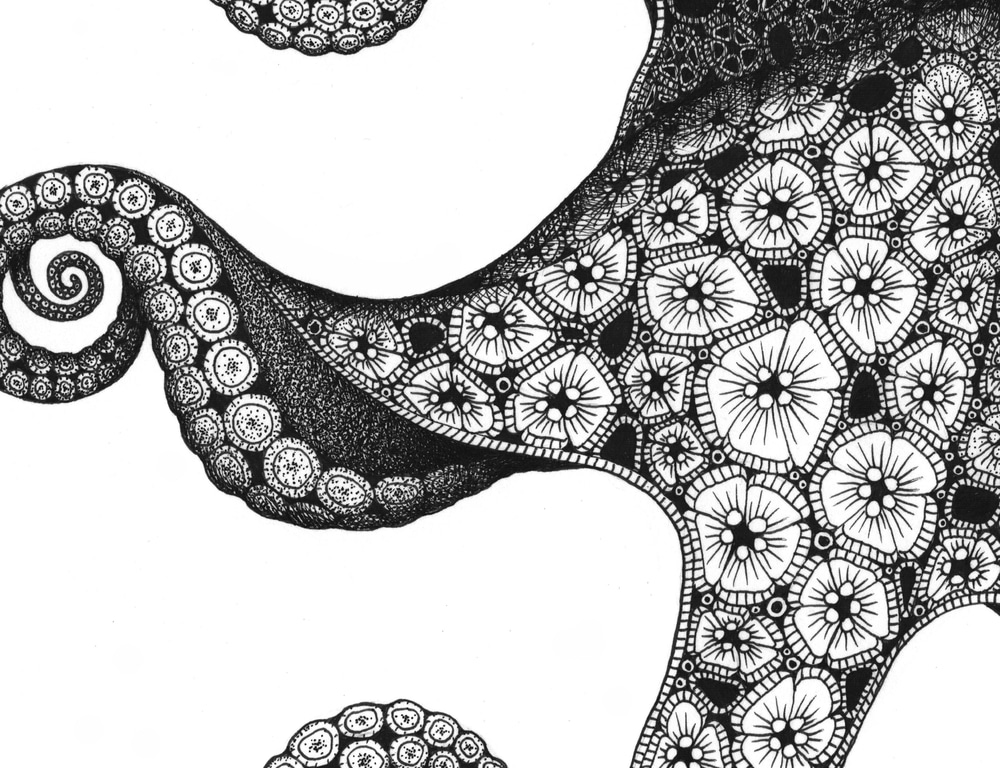 octopus detail