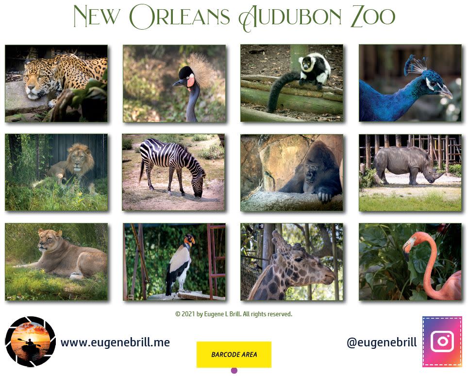 Audubon Zoo New Orleans Calendar Backpage 2021
