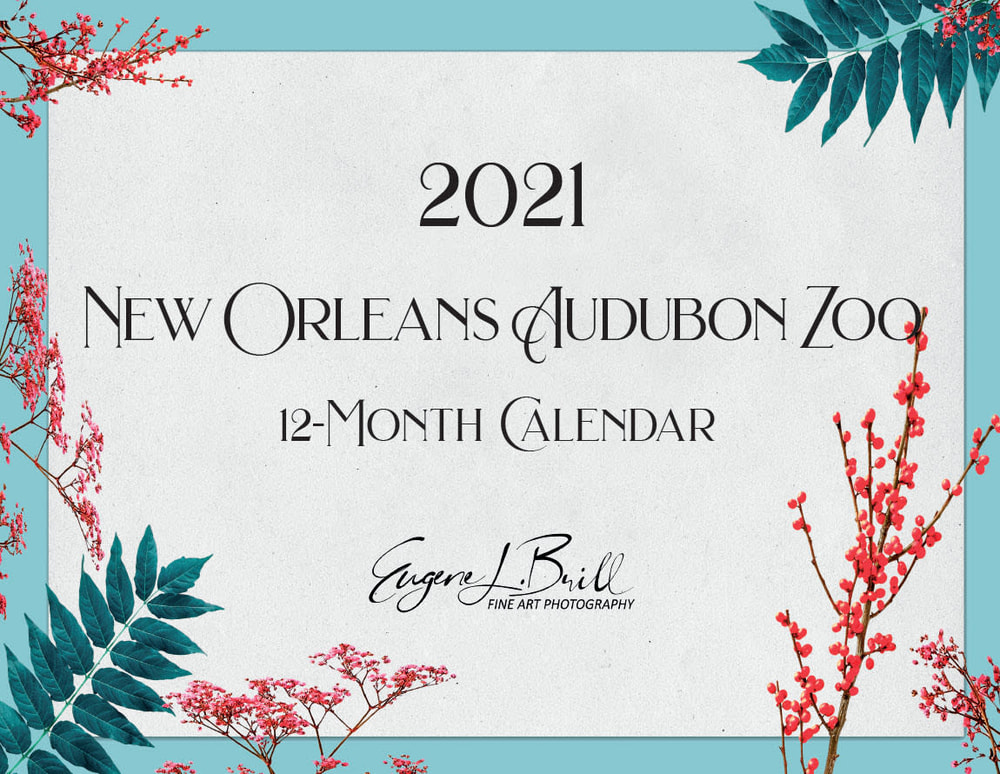 Audubon Zoo New Orleans Calendar Cover 2021